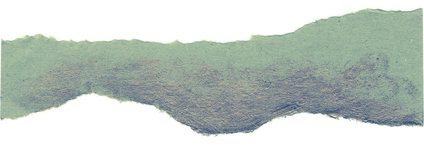 Ripped Paper