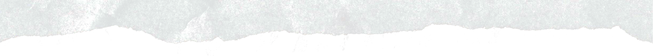 Ripped Paper